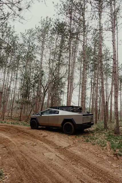 Cybertruck on a rutted dirt trail between tall red pines